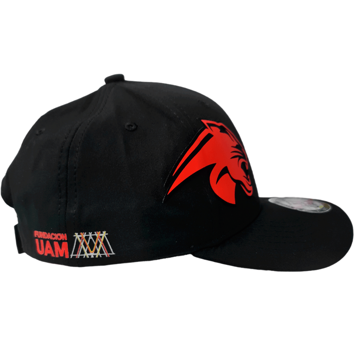 GORRA FUNDACIÓN UAM
